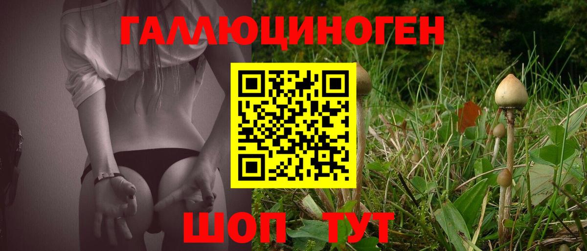 Новошахтинск  Галлюциногенные грибы MAGIC MUSHROOMS  Галлюциногенные грибы GOLDEN TEACHER  Вход с VPN 